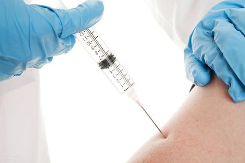 Ƥ�������ǰ�֢����˼��