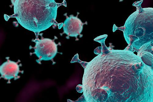 肾癌症晚期能吃莲子吗 肾癌症晚期能吃莲子吗