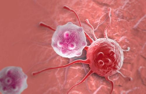 ����������ǰ�֢��ô��