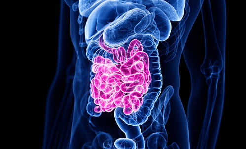 单身得了癌症 单身得了癌症可以申请低保吗 单身得了癌症 单身得了癌症可以申请低保吗