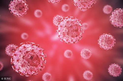 口腔鼻腔癌症死亡率高吗 口腔鼻腔癌症死亡率高吗