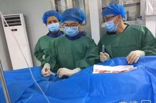 笑红尘原唱_东方不败插曲笑红尘原唱 笑红尘原唱_东方不败插曲笑红尘原唱