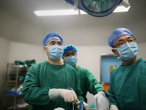 ������һ�㳤���氩֢