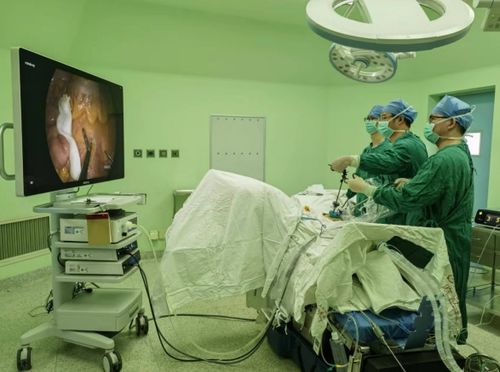 癌症都包含哪些癌症 癌症都包含哪些癌症呢 癌症都包含哪些癌症 癌症都包含哪些癌症呢