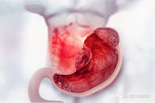 ��֢�����ܷ��˶�����