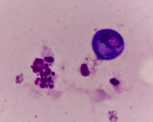 ��֢֢״��ҽ���� ��ҽ������ư�֢