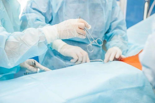 ��֢Ů���������л