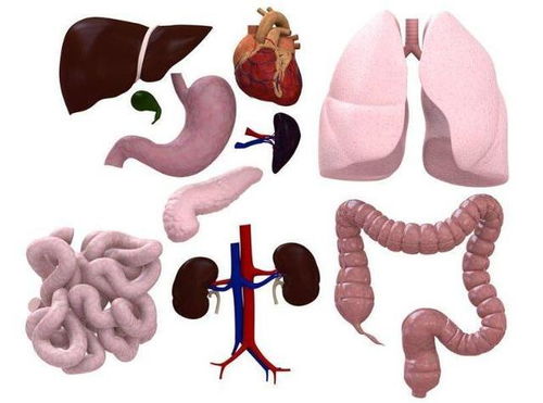 王楚钦追陈梦追了多久 王楚钦追陈梦追了多久