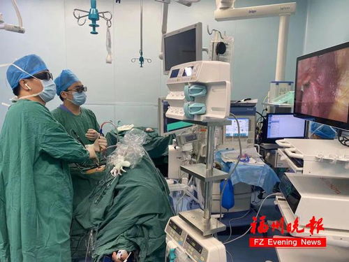 ���а�֢��ʲôˮ�����