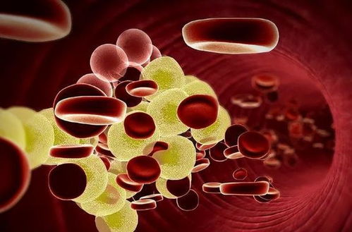 ������İ�֢��ʲô��֢