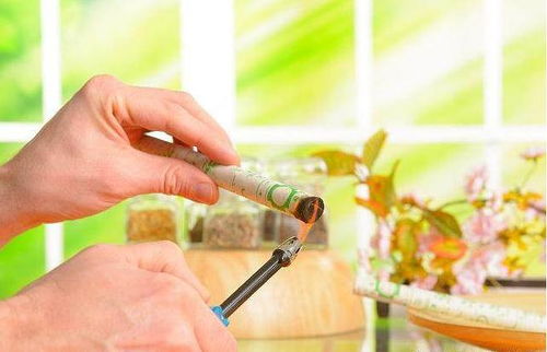 孙悦个人资料介绍年薪 孙悦个人资料介绍年薪