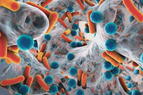 ��ǫ��֢����_��ǫ������