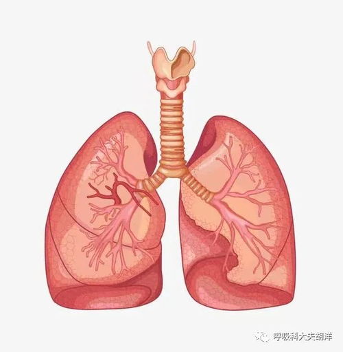 打嗝引发癌症 打嗝与癌症有关吗 打嗝引发癌症 打嗝与癌症有关吗