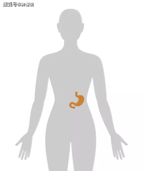 ��֢��ɫճҺ(��֢������ŨҺ��Ⱦ��)