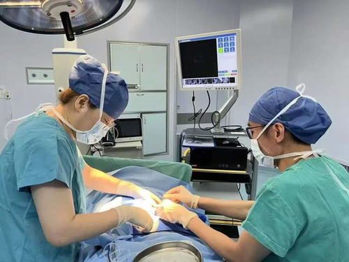 乳腺癌症病人能否吃豆浆 乳腺癌症病人能否吃豆浆