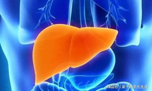 ��֢���߹��� ���ݰ�֢��������