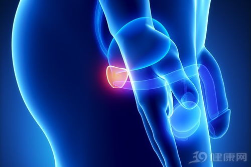 �۴��᲻�ᵼ�°�֢����