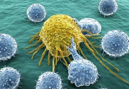 巨兴茂妻子 巨兴茂老婆照片全家福 巨兴茂妻子 巨兴茂老婆照片全家福