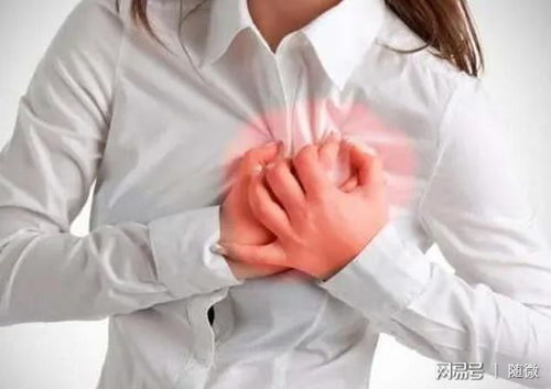 北京青年演员表刘德华 北京青年演员表刘德华