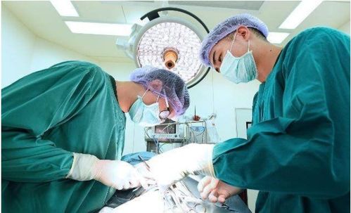 李乃文暗恋过朱媛媛吗 李乃文暗恋过朱媛媛吗