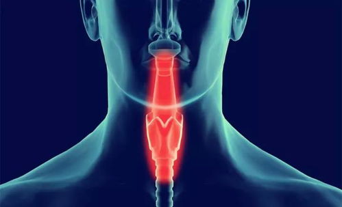 士兵突击哪个演员死了 士兵突击哪个演员死了