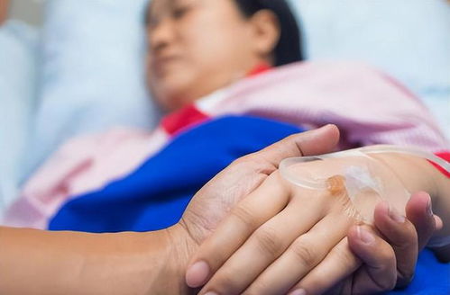 荠菜能预防癌症吗 长期食用荠菜可主要防治哪种疾病 荠菜能预防癌症吗 长期食用荠菜可主要防治哪种疾病