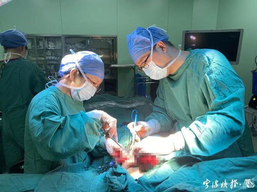 84岁癌症晚期没有食欲 84岁癌症晚期没有食欲