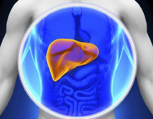 ��Ѫ��μ��ǰ���ٰ�֢