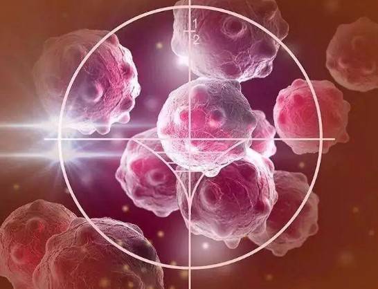 ʲô��֢ȫ��Ƥ���ƺ�