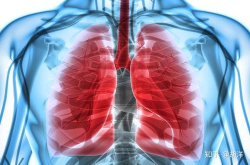 ʲô��λ�׷���ʳ�ܰ�֢