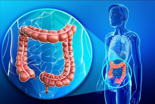 ����Խ�ڻ�䰩֢��