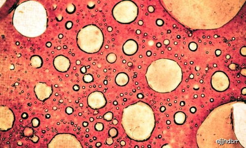 通信兵之歌(通信兵之歌原唱) 通信兵之歌(通信兵之歌原唱)