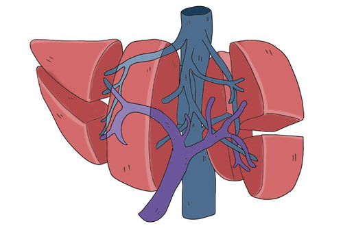 底线癌症女儿(底线是谁) 底线癌症女儿(底线是谁)