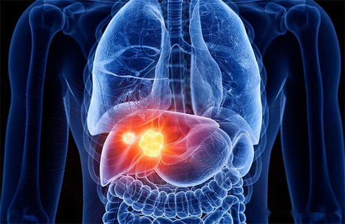 疯狂哆来咪哆来咪哆 疯狂哆来咪哆来咪哆