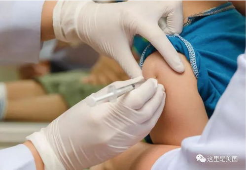 ��֢����������������