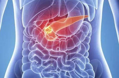 贾乃亮旁边的女的是谁 贾乃亮旁边的女的是谁