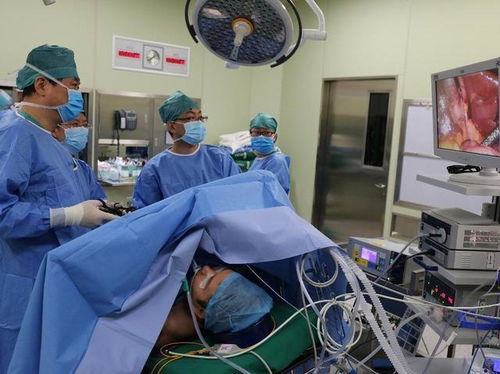 万年青治疗哪种癌症好用 万年青治疗哪种癌症好用