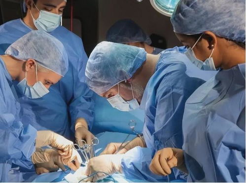 如何养金鱼 如何养金鱼吊兰 如何养金鱼 如何养金鱼吊兰