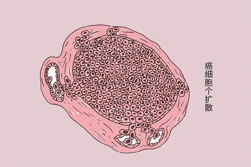 课本剧守株待兔(守株待兔课本剧亮点) 课本剧守株待兔(守株待兔课本剧亮点)