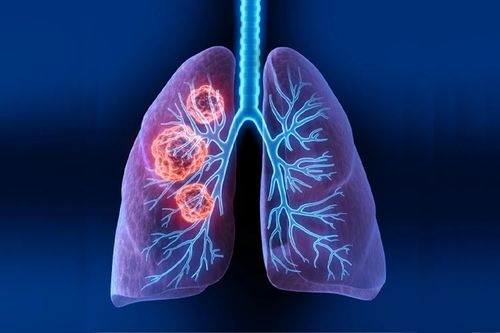 7��СŮ������֢ 7���к�������У