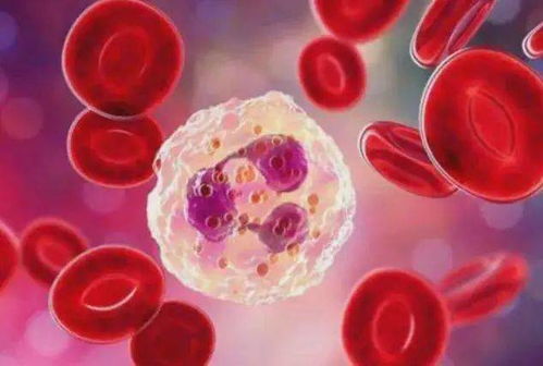 预防癌症课程感想怎么写 预防癌症课程感想怎么写