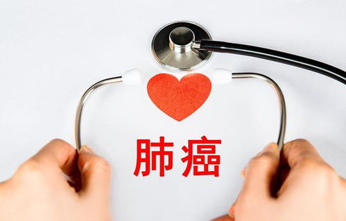 ¶¶��֢���ڵ���������