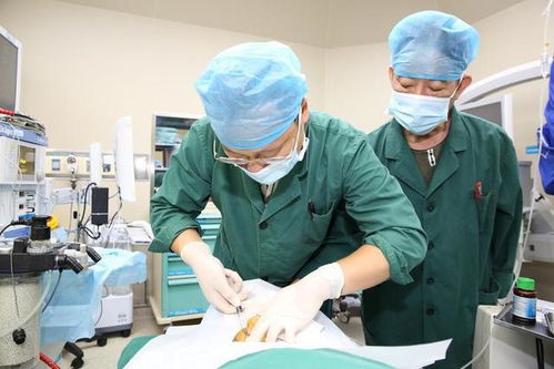 �γ�������������