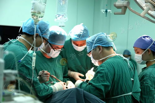 2025��֢����ͳ��_2025�й���֢��������