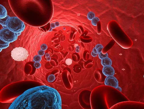 ��֢�᲻������ͷ��Ż��