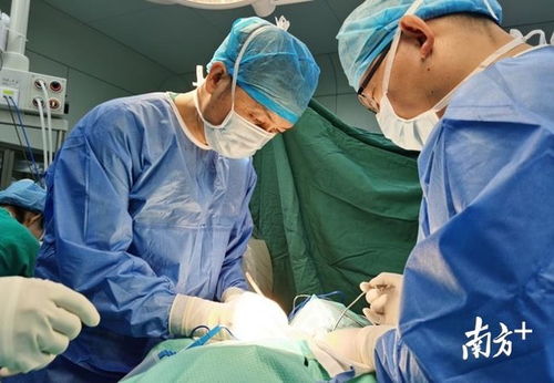 ��֢vi��ʲô��˼_��֢v���Ǽ���