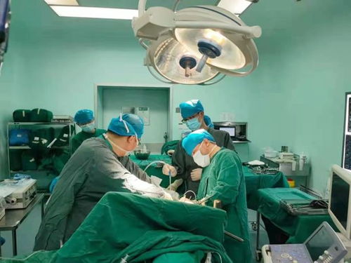 �������ɰ�֢��ʲô��֢