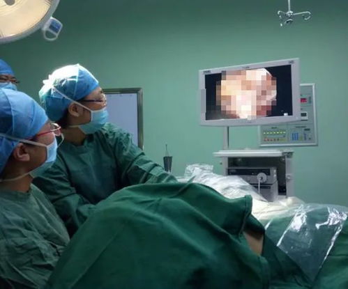 赵忠祥癌症原因 赵忠祥得的是什么原因 赵忠祥癌症原因 赵忠祥得的是什么原因