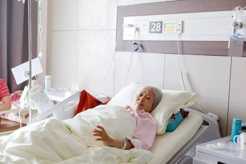 ��л���֢ ��Ȩ����ʲô���Ӿ�