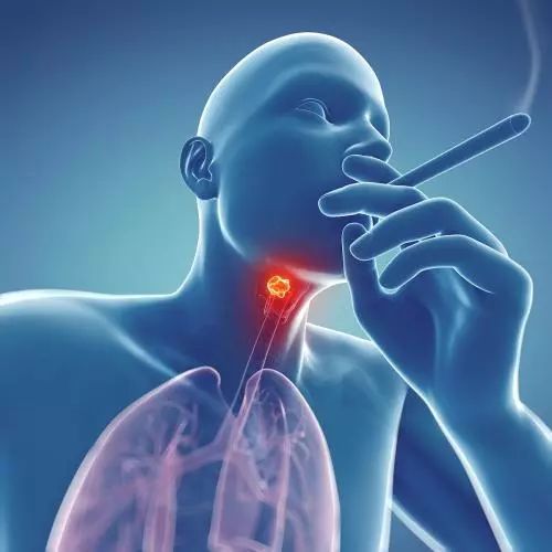 �Ѿ����а�֢ �Ѿ����а�֢��Ѫ����Ƥ���������Ƿ���